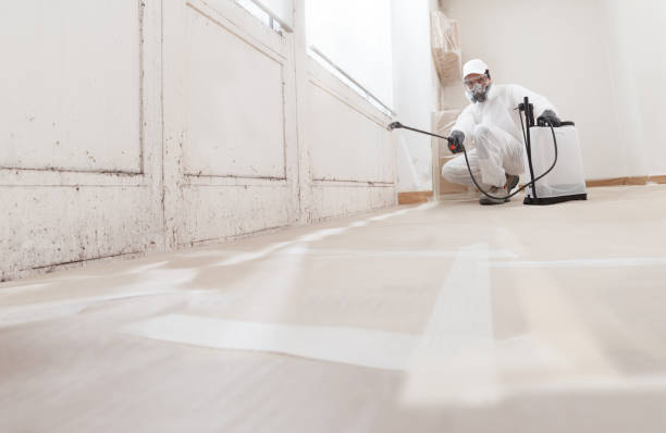 24/7 Emergency Black Mold Remediation experts in Paris, TX